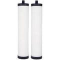 Doulton Ultracarb M15 Ceramic Water Filter 2-Pack for Franke Triflow