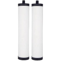 Doulton Ultracarb M15 Ceramic Water Filter 2-Pack for Franke Triflow
