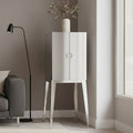 Orsina Lure Stainless Steel Cabinet – Modern Storage Sideboard