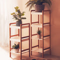 Orsina Nostra 3-Tiered Minimalist Display Shelf – White and Natural