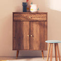 Orsina Frida Modern Brown Wood 2-Door 1-Drawer Storage Cabinet