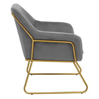 Orsina Xander Grey Velvet Accent Chair with Brushed Gold Base