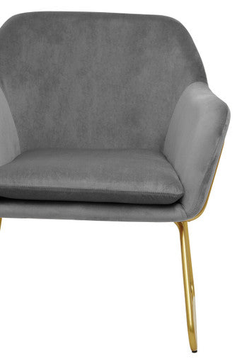 Orsina Xander Grey Velvet Accent Chair with Brushed Gold Base