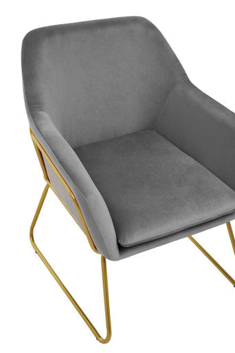 Orsina Xander Grey Velvet Accent Chair with Brushed Gold Base