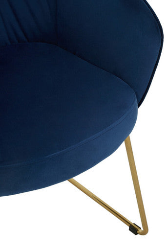 Orsina Veneto Midnight Velvet Curved Dining Chair | Gold Metal Base
