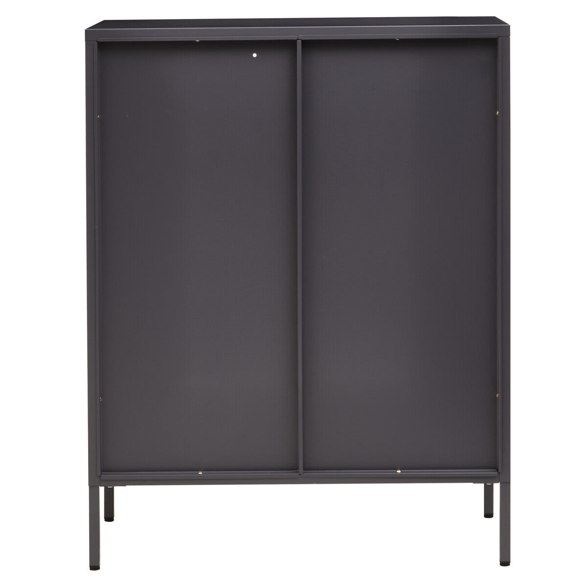 Orsina Acier Two Door Grey Metal Cabinet | Glass Display Storage