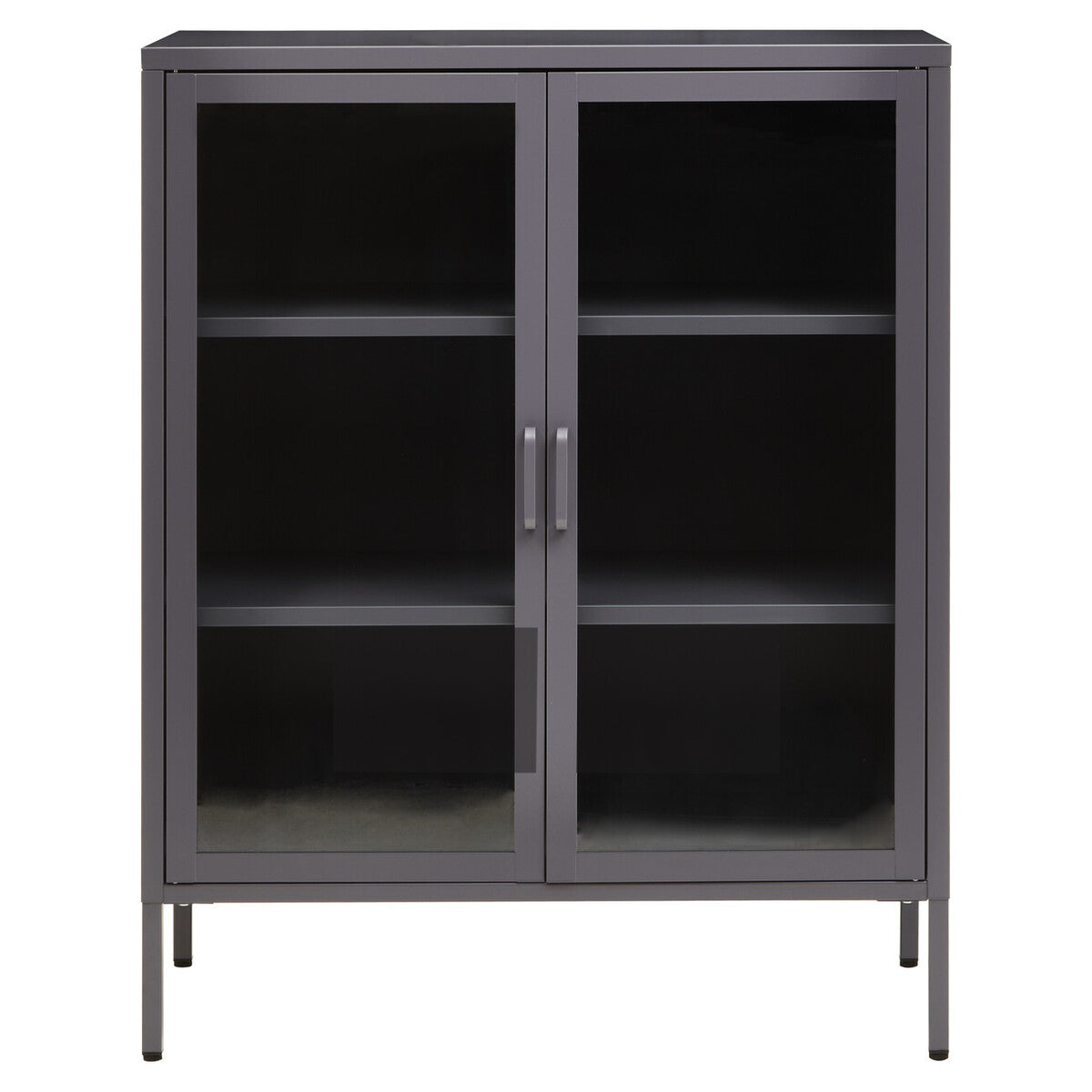 Orsina Acier Two Door Grey Metal Cabinet | Glass Display Storage