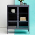 Orsina Acier Two Door Grey Metal Cabinet | Glass Display Storage