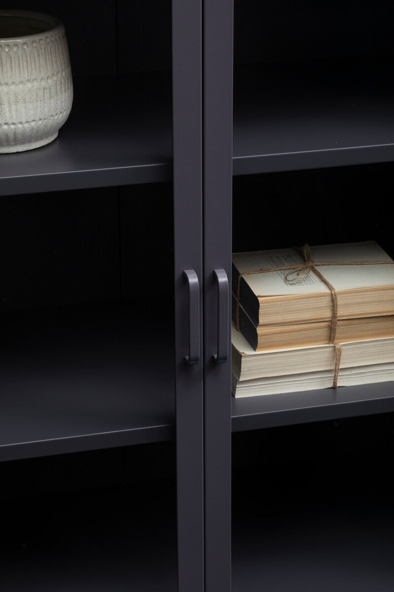 Orsina Acier Two Door Grey Metal Cabinet | Glass Display Storage