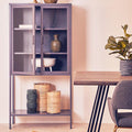 Orsina Acier Grey Metal Cabinet – Two Door Glass Display Storage