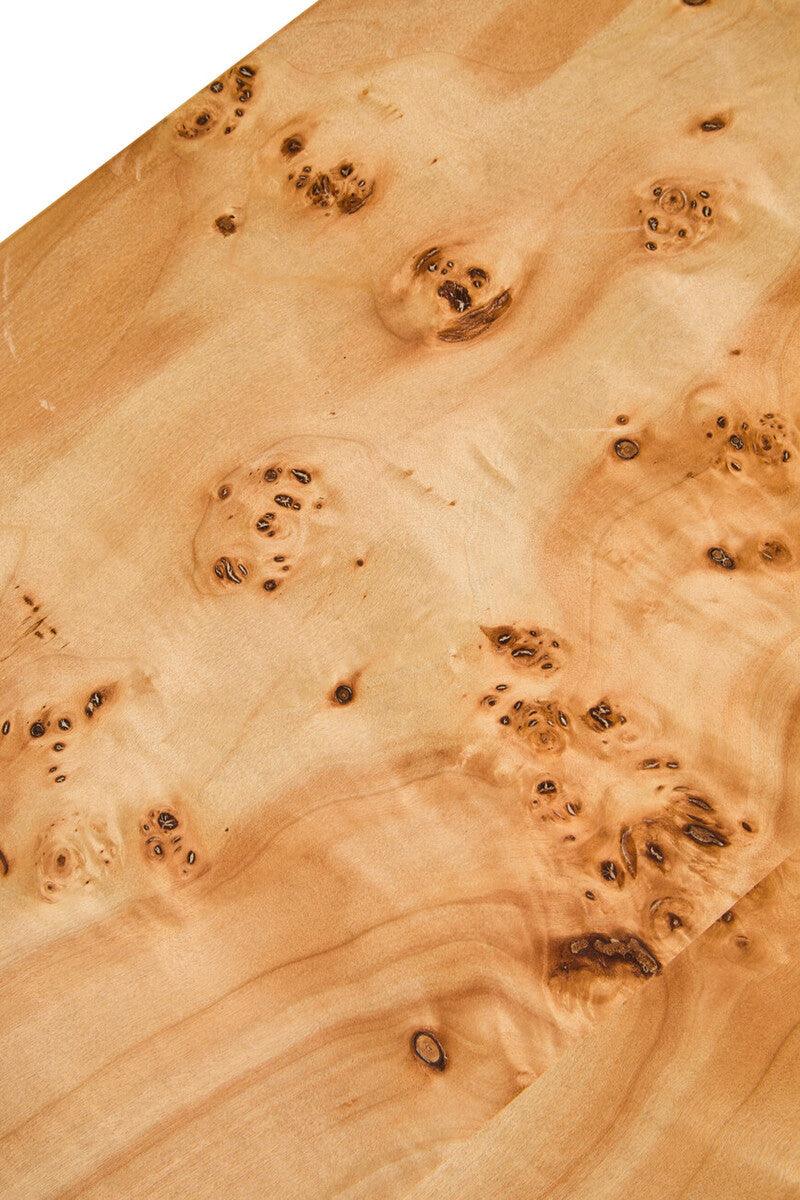 Orsina Mota Natural Burl Wood Curved Coffee Table – Japandi Style