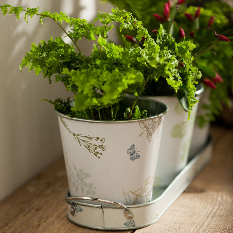 Orsina Jardin Trio Plant Pots with Tray – Indoor Herb Planter Set