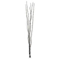 Orsina Ventana Black Twig Decorative String Lights - 80 LED Lights