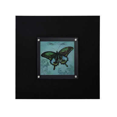 Orsina Butterfly 1 Framed Wall Art – Modern Black Botanical Print