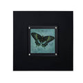 Orsina Butterfly 2 Framed Wall Art – Modern Botanical Print Decor