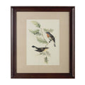 Orsina Framed Birds 1 Wall Art – Nature Inspired Brown Framed Print