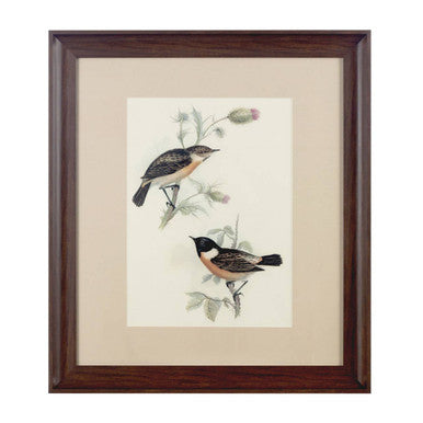 Orsina Framed Birds 2 Wall Art – Neutral Botanical Bird Illustration