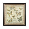 Orsina Framed Butterfly Wall Art – Neutral Nature Print in Black Frame
