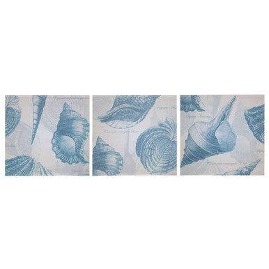 Orsina Echo Coastal Shell Wall Plaques – Set of 3 Blue & Cream Art