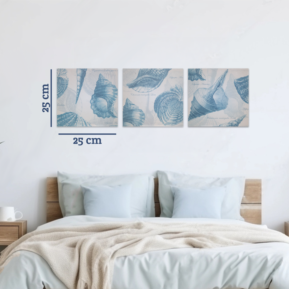 Orsina Echo Coastal Shell Wall Plaques – Set of 3 Blue & Cream Art