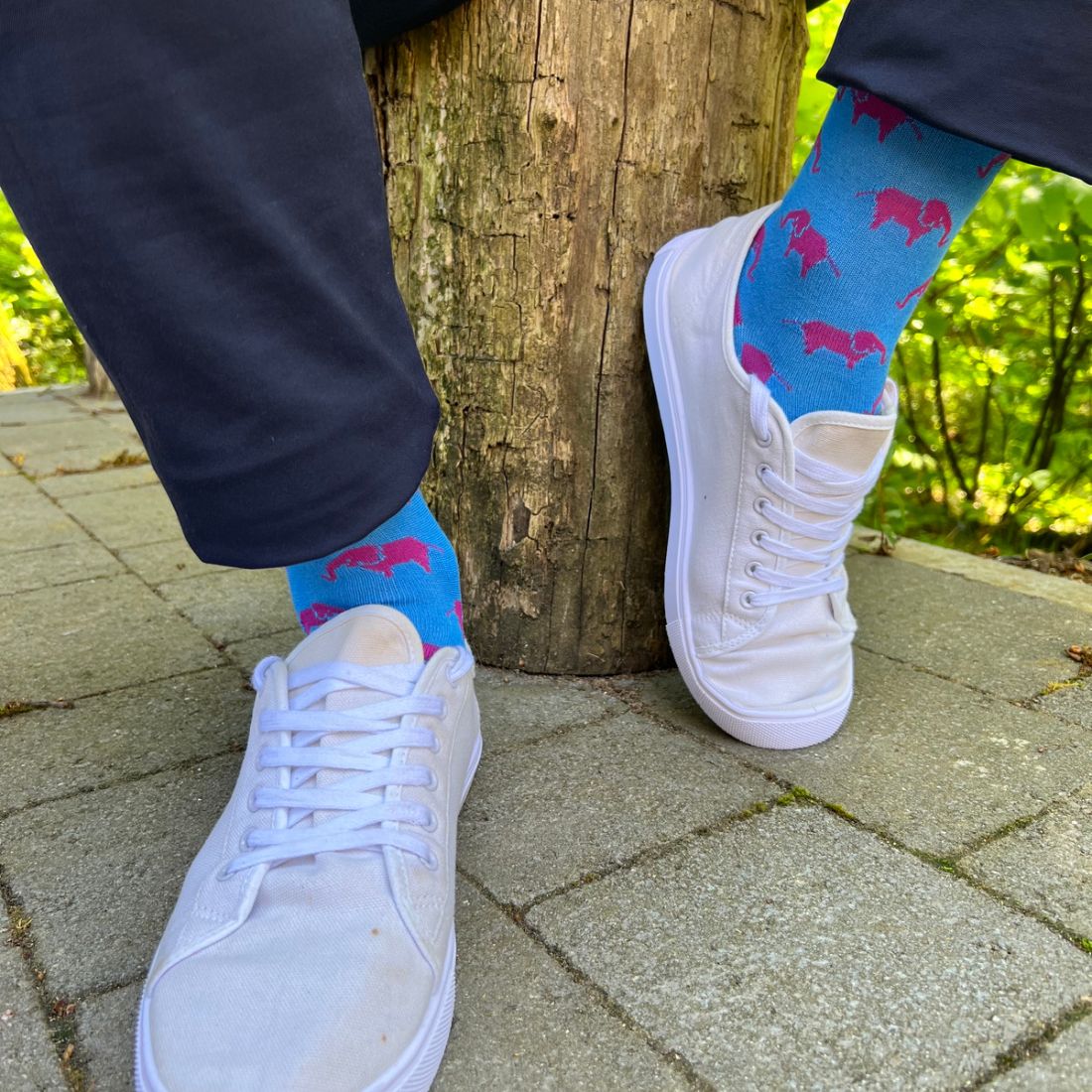 Swole Panda Elephant Bamboo Socks – Blue & Pink Sustainable Men's Socks