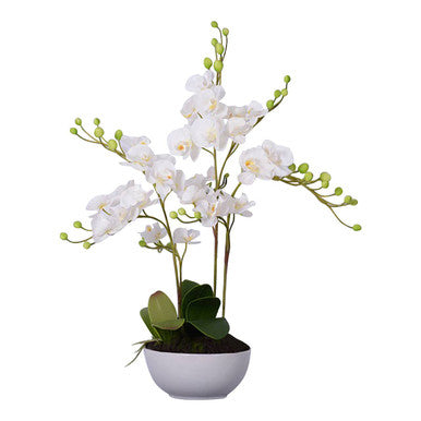 Orsina Fiori White Orchid - Artificial Floral in White Ceramic Pot