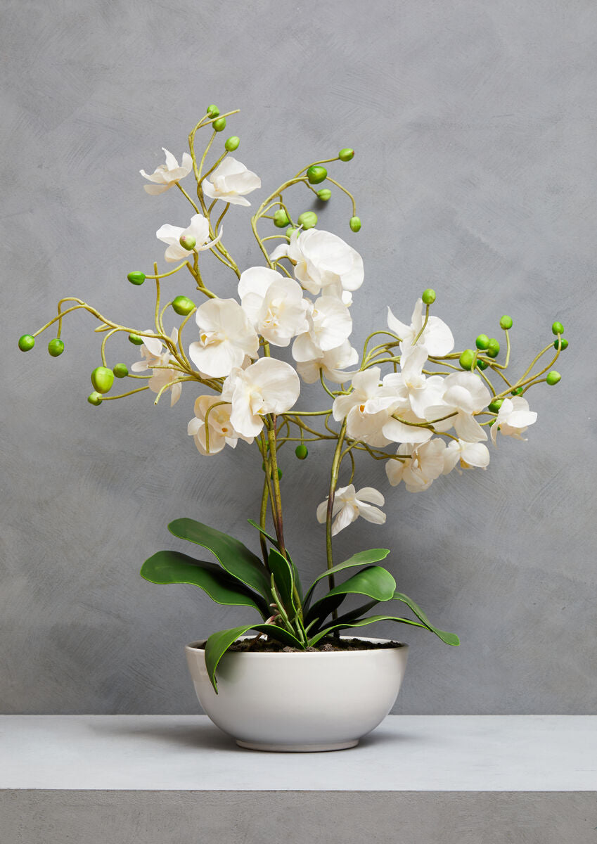 Orsina Fiori White Orchid - Artificial Floral in White Ceramic Pot