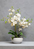 Orsina Fiori White Orchid - Artificial Floral in White Ceramic Pot