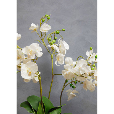 Orsina Fiori White Orchid - Artificial Floral in White Ceramic Pot