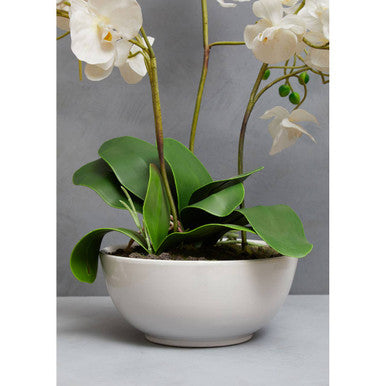 Orsina Fiori White Orchid - Artificial Floral in White Ceramic Pot