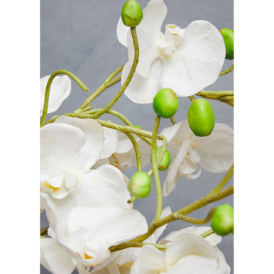 Orsina Fiori White Orchid - Artificial Floral in White Ceramic Pot