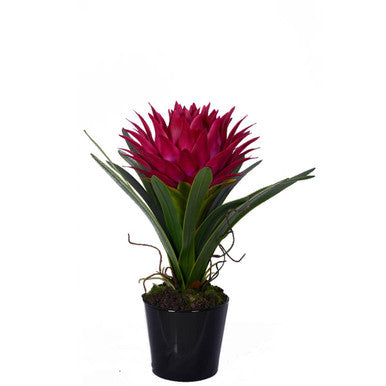 Orsina Fiori Pink Tropical Artificial Plant with Black Ceramic Pot