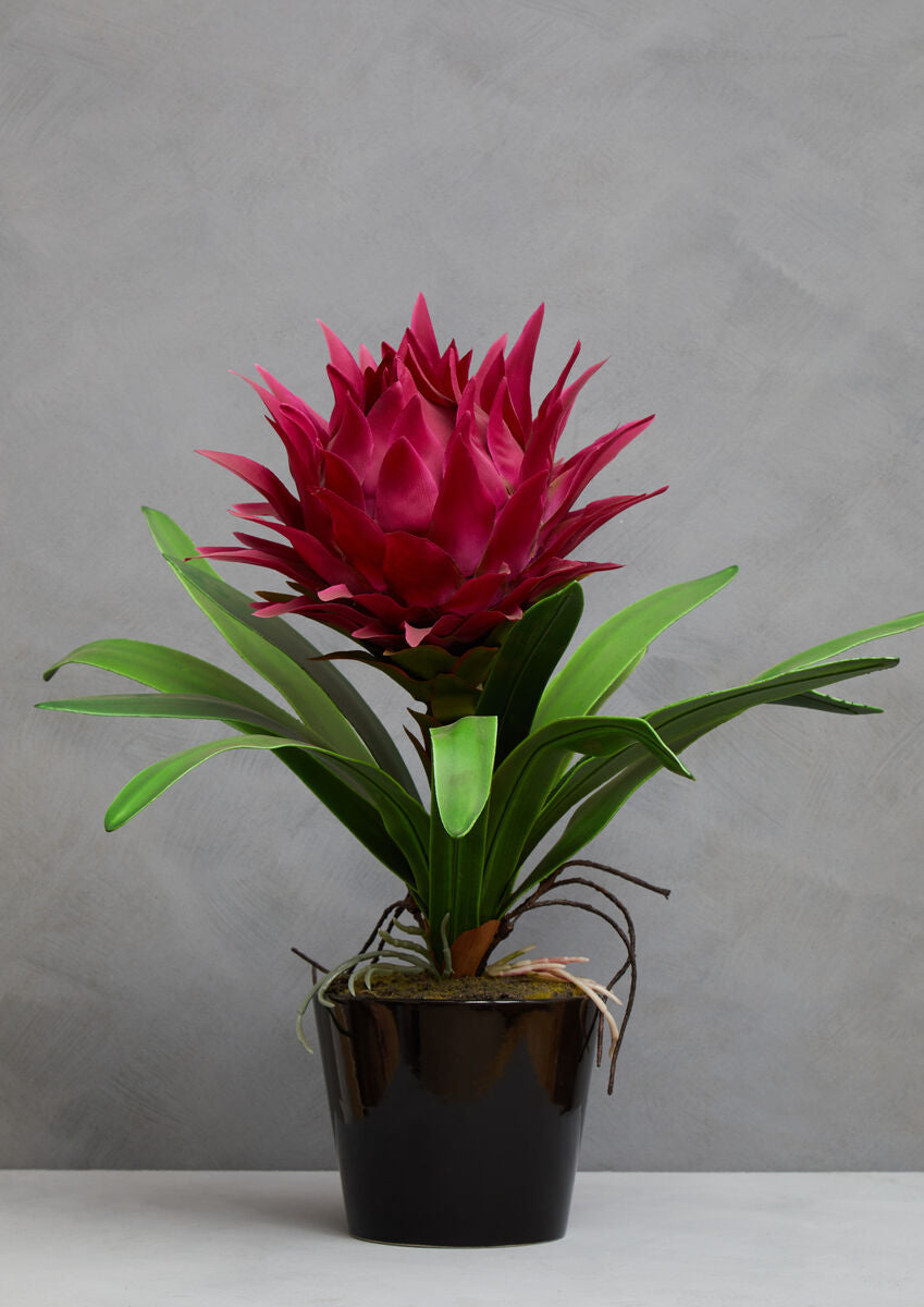Orsina Fiori Pink Tropical Artificial Plant with Black Ceramic Pot