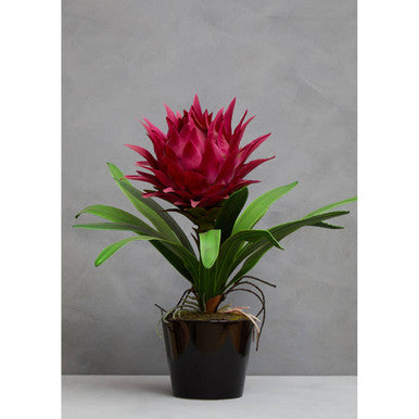 Orsina Fiori Pink Tropical Artificial Plant with Black Ceramic Pot