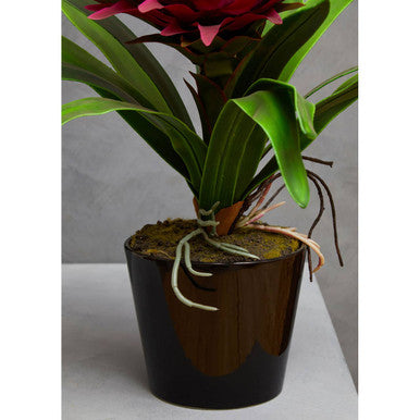 Orsina Fiori Pink Tropical Artificial Plant with Black Ceramic Pot