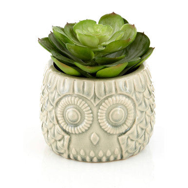Orsina Large Artificial Succulent in Grey Ceramic Owl Planter Pot