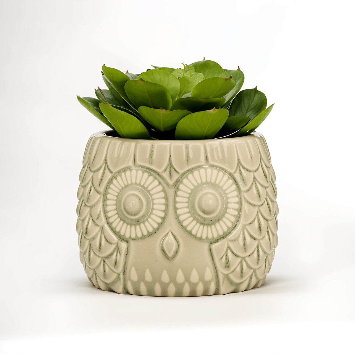 Orsina Large Artificial Succulent in Grey Ceramic Owl Planter Pot