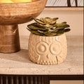 Orsina Large Artificial Succulent in Grey Ceramic Owl Planter Pot