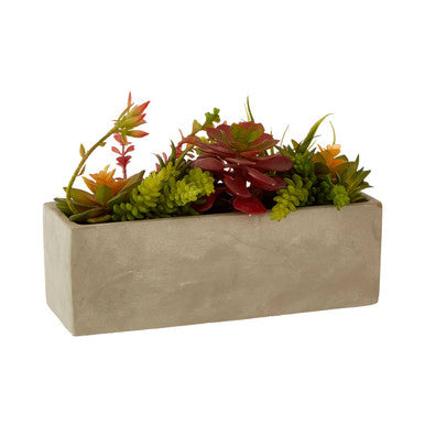Orsina Mixed Artificial Succulents in Rectangular Cement Pot