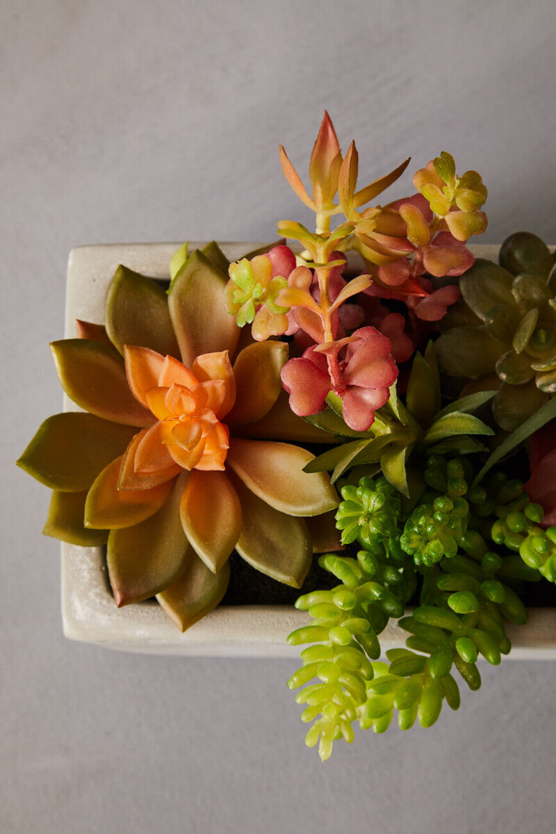 Orsina Mixed Artificial Succulents in Rectangular Cement Pot