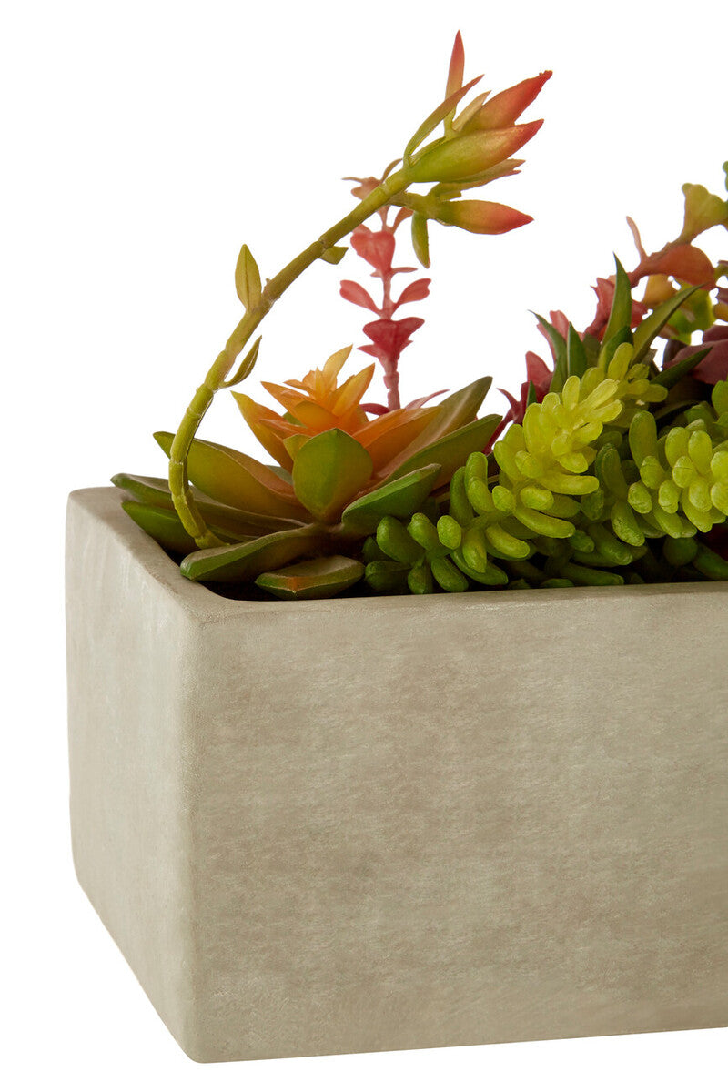 Orsina Mixed Artificial Succulents in Rectangular Cement Pot