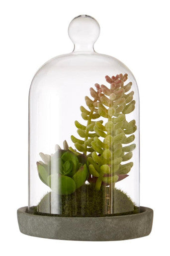 Orsina Fiori Small Succulent Dome – Faux Plant with Cement Base