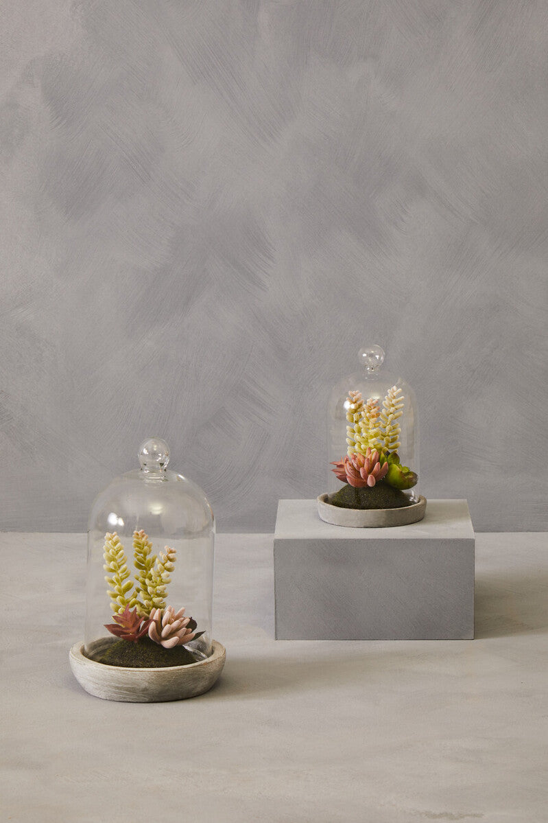 Orsina Fiori Small Succulent Dome – Faux Plant with Cement Base