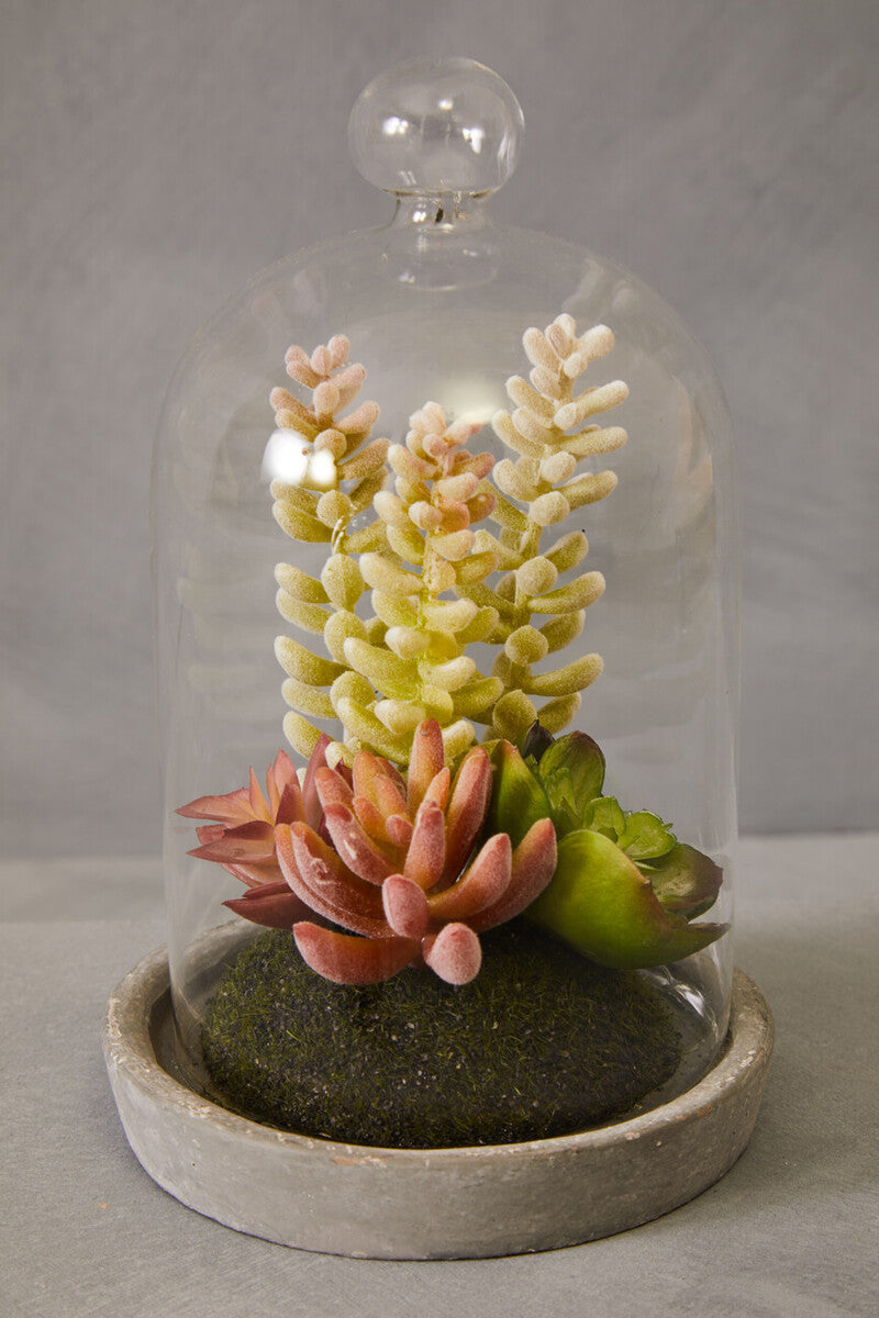 Orsina Fiori Small Succulent Dome – Faux Plant with Cement Base