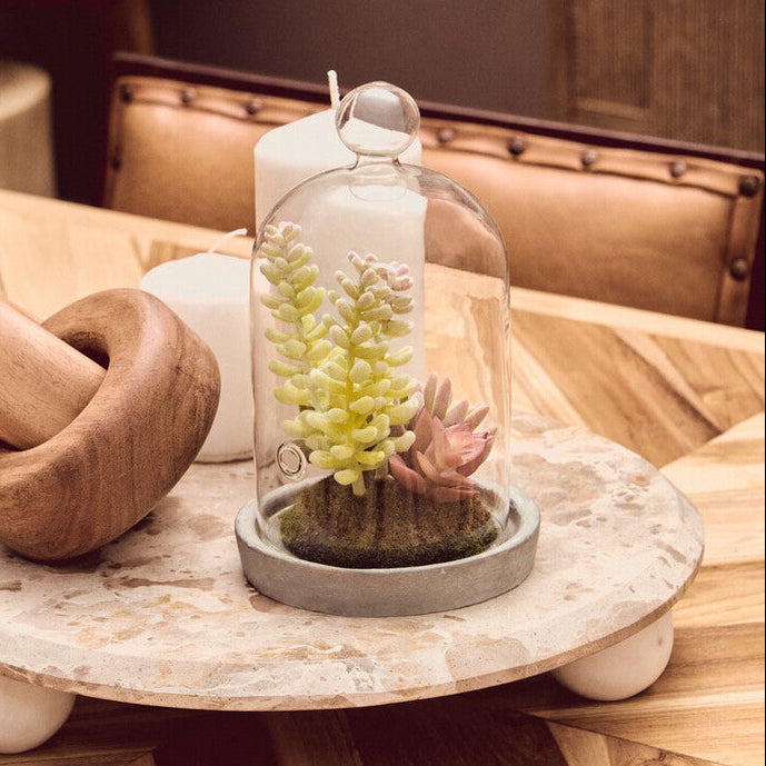 Orsina Fiori Small Succulent Dome – Faux Plant with Cement Base