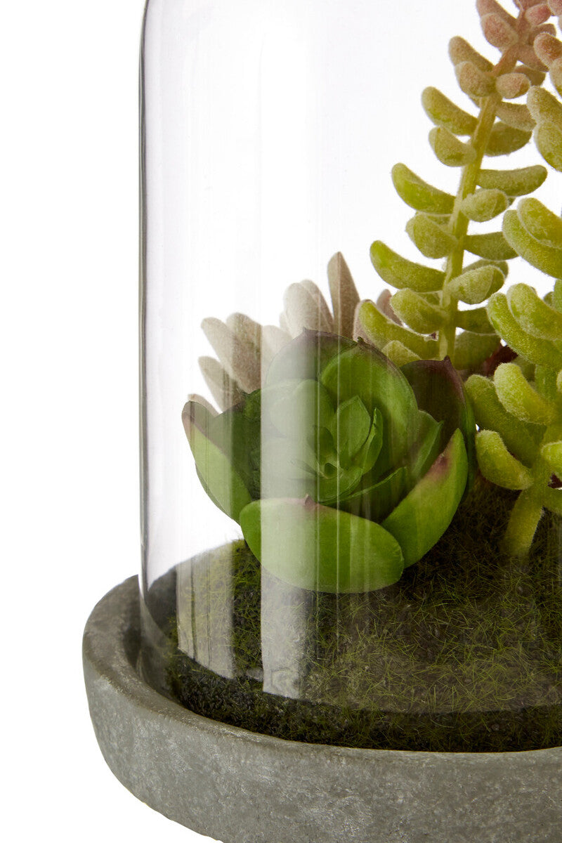 Orsina Fiori Small Succulent Dome – Faux Plant with Cement Base