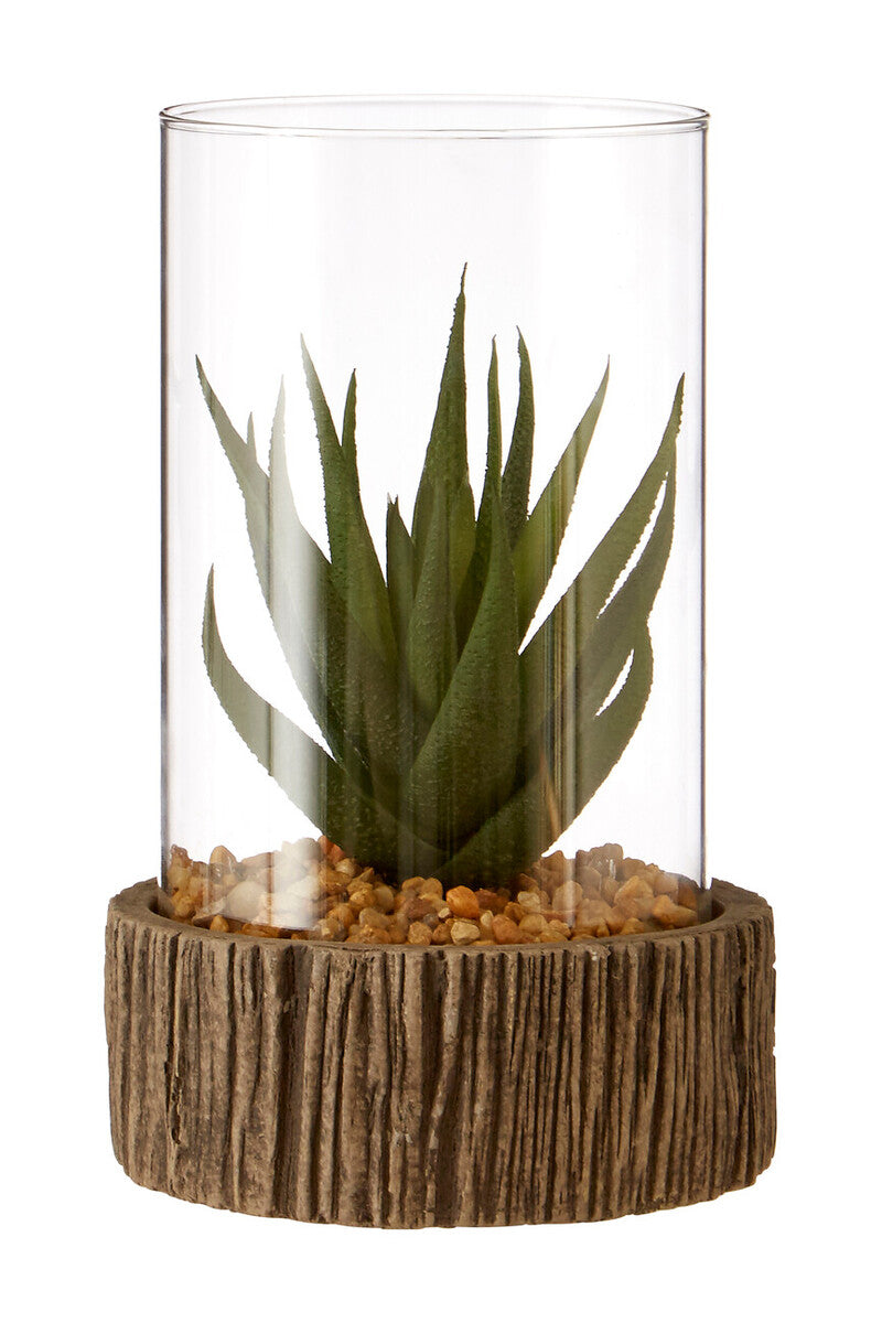 Orsina Fiori Small Faux Succulent with Natural Stone Base and Glass