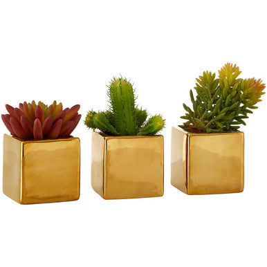 Orsina Fiori Set of 3 Mini Artificial Succulents with Gold Pots