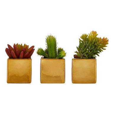 Orsina Fiori Set of 3 Mini Artificial Succulents with Gold Pots