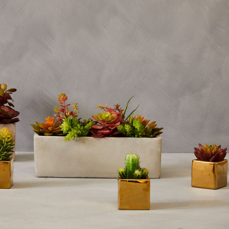 Orsina Fiori Set of 3 Mini Artificial Succulents with Gold Pots